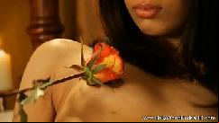 Exotic sexiness on display from india