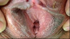 Hot fresh mature reveals her hairy pussy